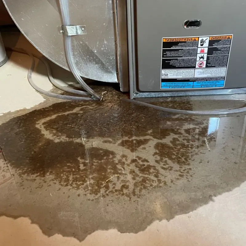 Pipe Burst and Leak Restoration in Lincolnville, ME