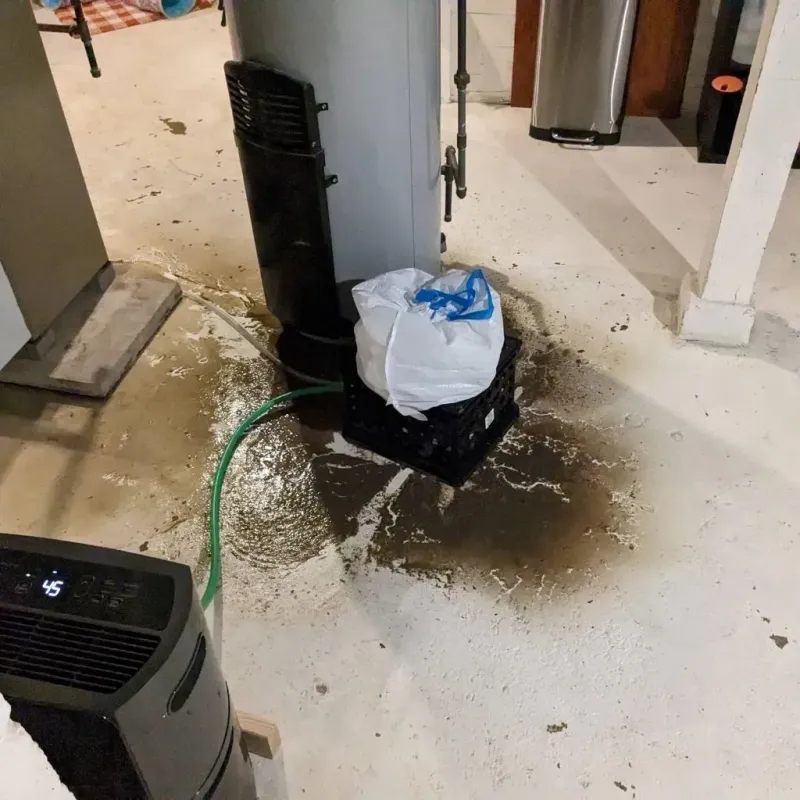 Sewage Backup Cleanup Service in Lincolnville, ME